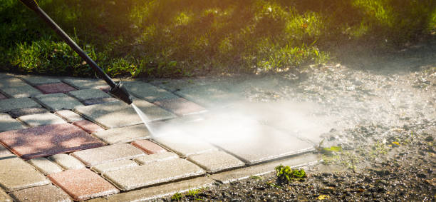 Best Soft Washing for Delicate Surfaces in Hanover, MN